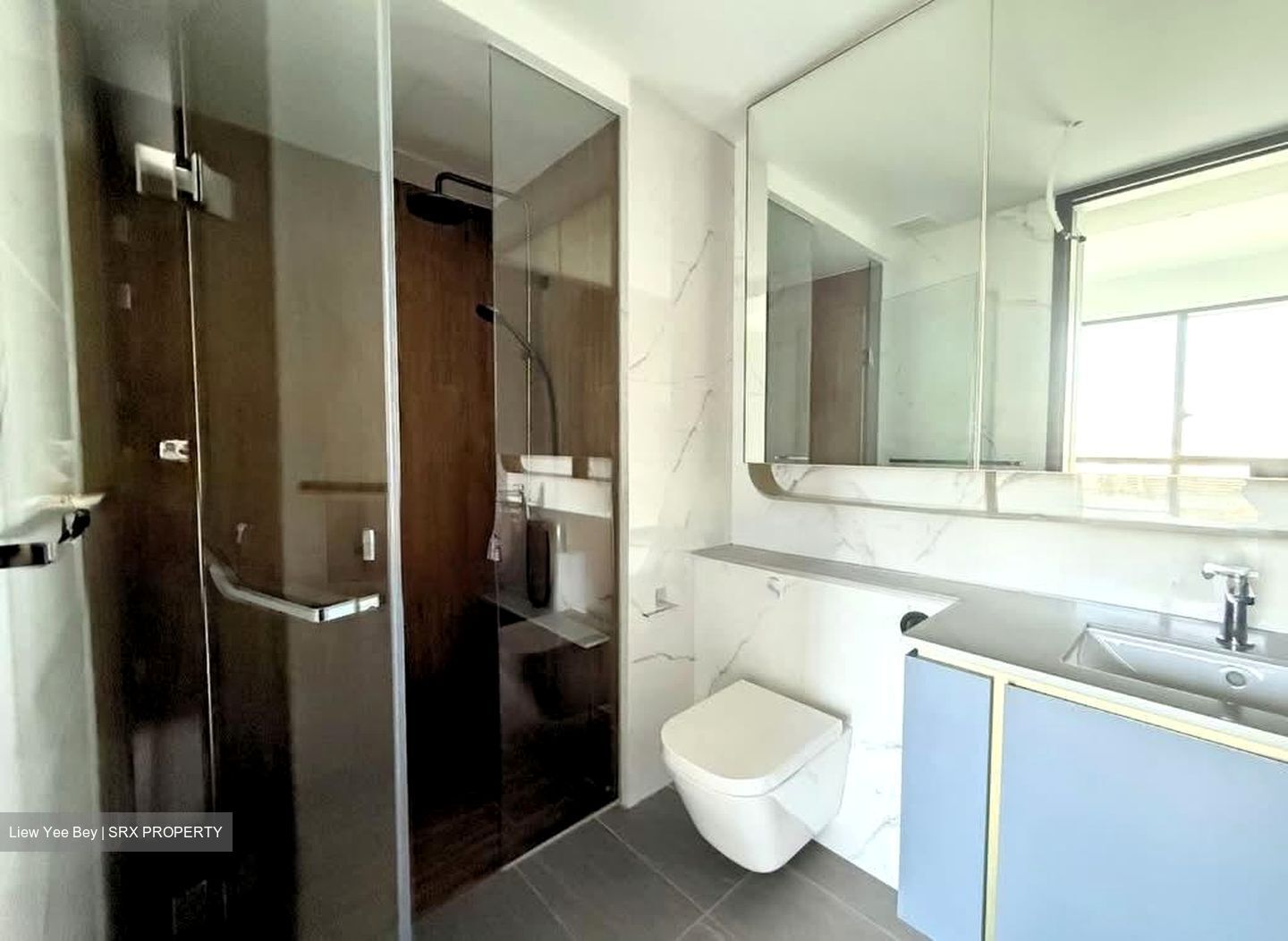 Amo Residence (D20), Apartment #565274791